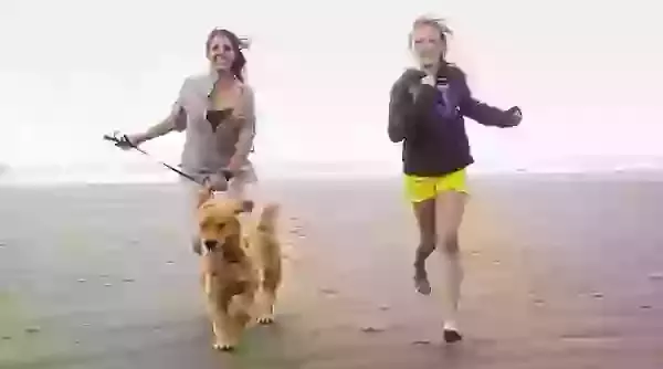 About McTimoney Method